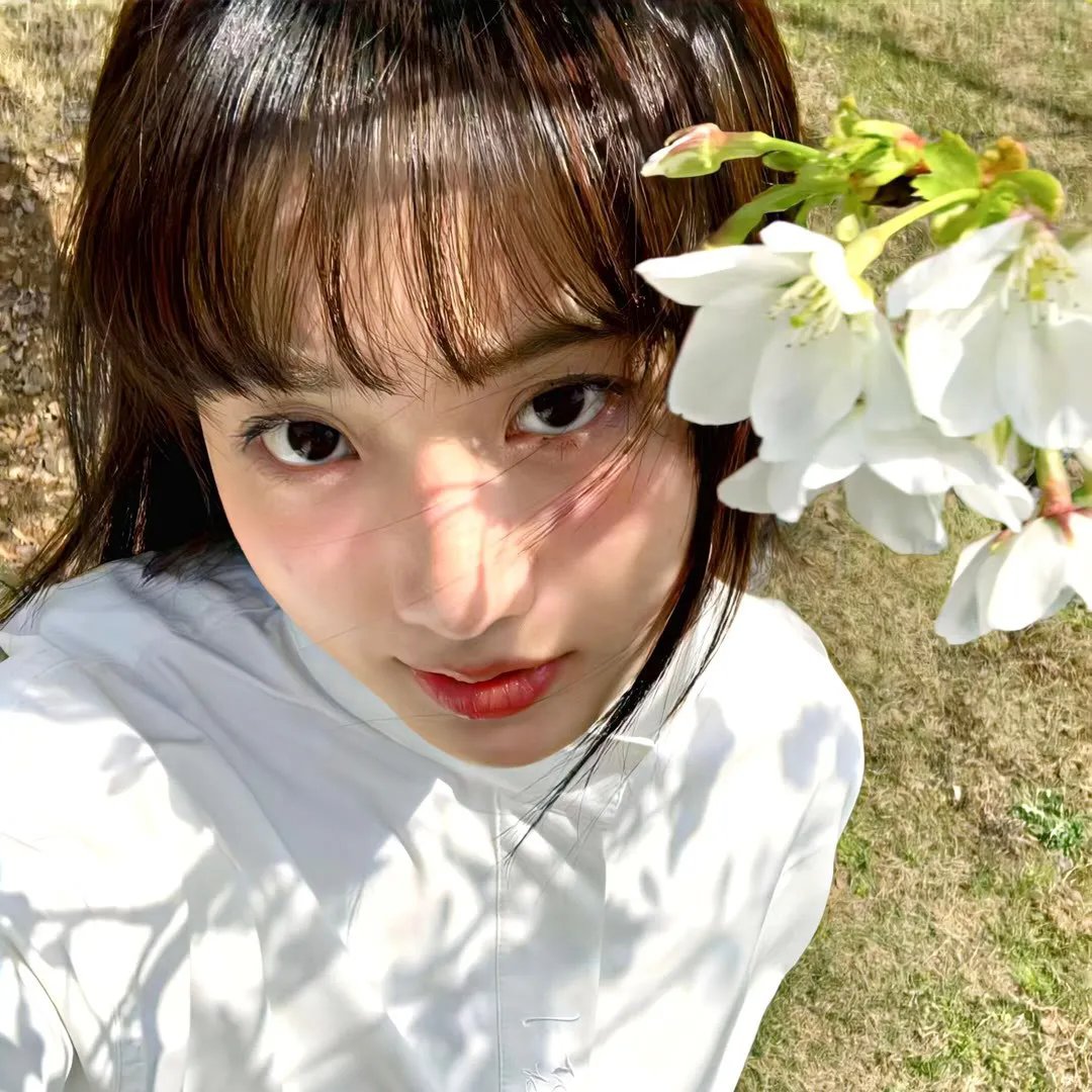 绿茵春色